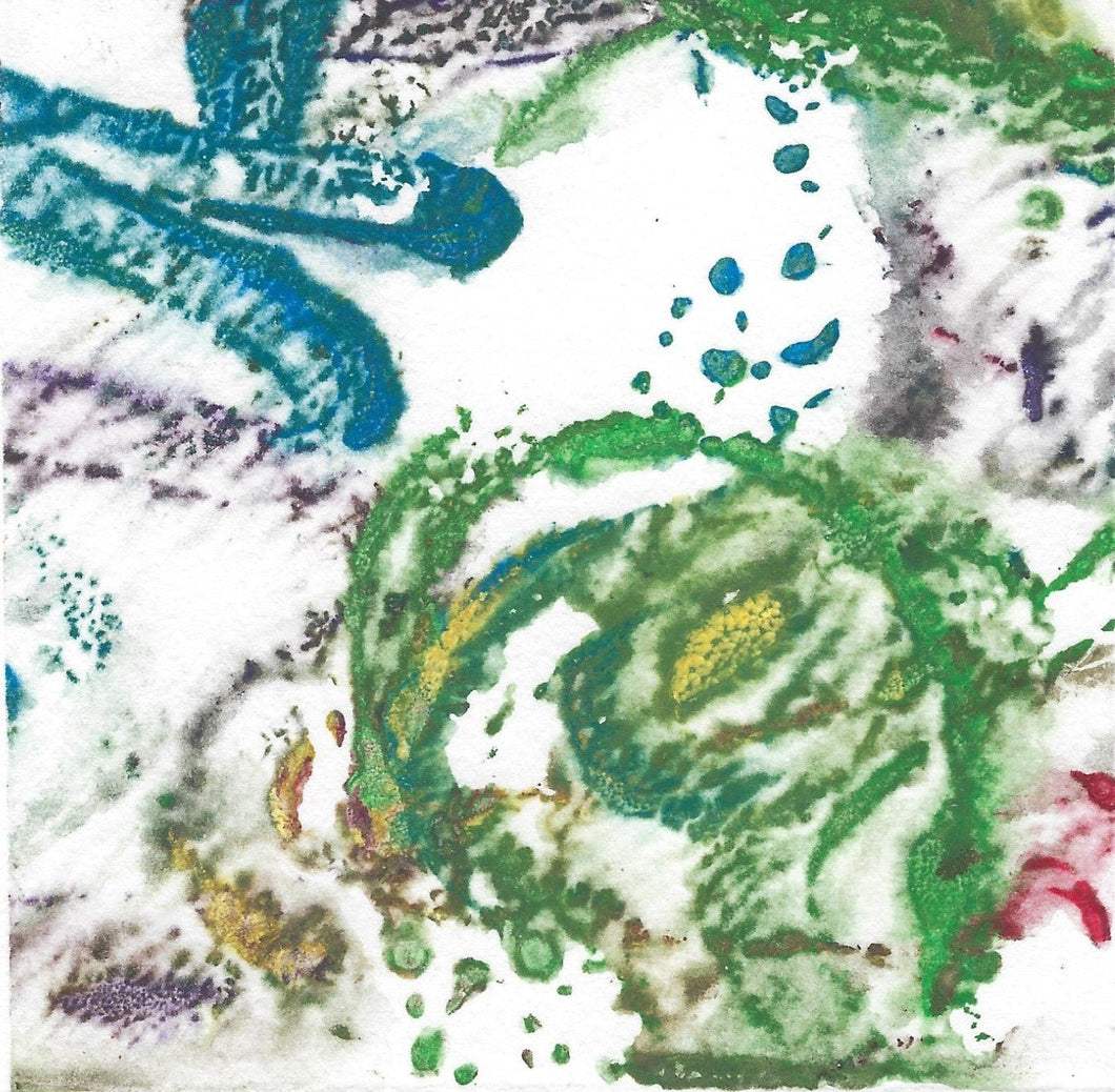 Tortoise - Green Block Gallery